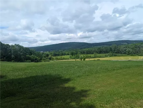 794 River Rd, Butternuts, NY 13776 photo 8