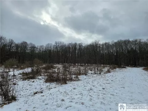 0 Warner Gulf Rd, Sardinia, NY 14134