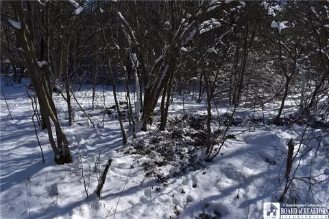 1197 Lyndon Rd, Lyndon, NY 14737