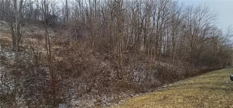 0 Elmer St, Lyons, NY 14489 photo 11