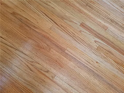 Living - 57 High Pt, Irondequoit, NY 14609 photo 4 of 4