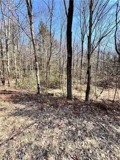 14 T R Lot 7 Tennanah Lake Rd, Fremont-sullivan Co, NY 12736