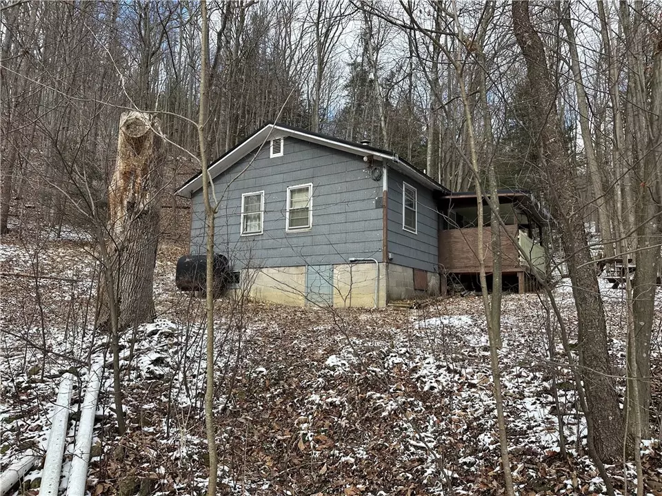 1691 Fall Creek Rd, Hartsville, NY 14823 37 Photos Movoto