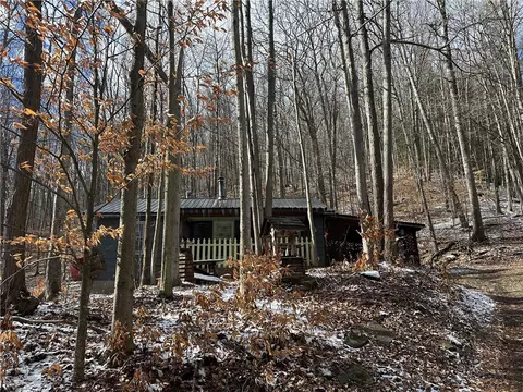 1691 Fall Creek Rd, Hartsville, NY 14823