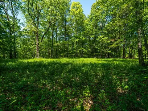 0 Hagerty Rd, Middlesex, NY 14507 photo 8