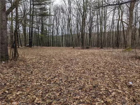0 Hagerty Rd, Middlesex, NY 14507 photo 31