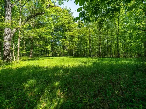 0 Hagerty Rd, Middlesex, NY 14507 photo 7