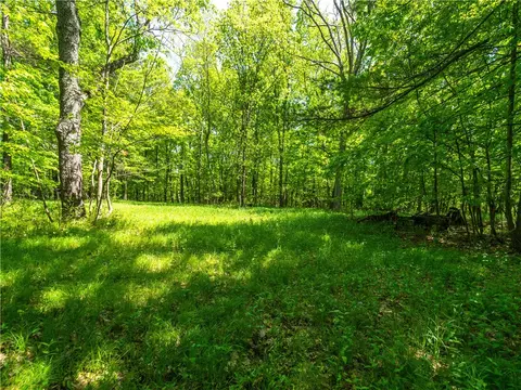 0 Hagerty Rd, Middlesex, NY 14507 photo 6