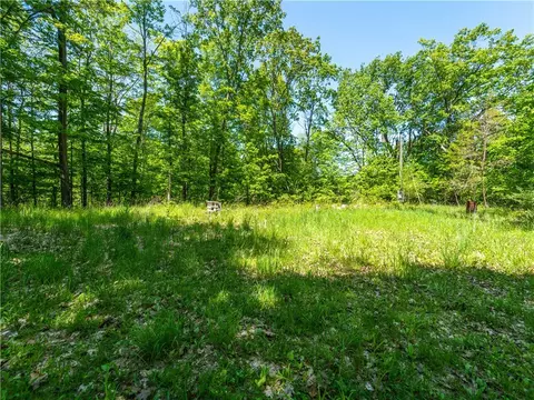 0 Hagerty Rd, Middlesex, NY 14507 photo 2
