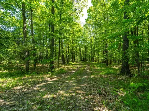0 Hagerty Rd, Middlesex, NY 14507 photo 10