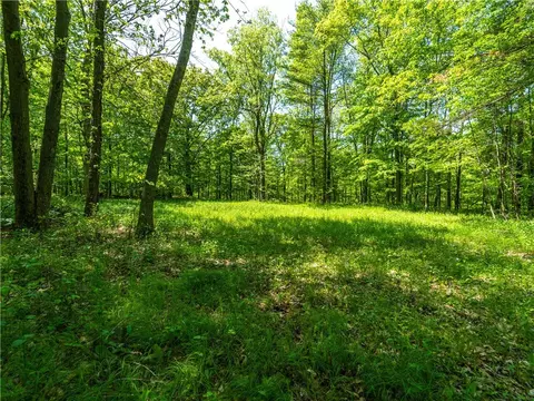 0 Hagerty Rd, Middlesex, NY 14507 photo 9