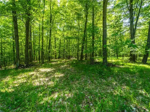 0 Hagerty Rd, Middlesex, NY 14507 photo 4