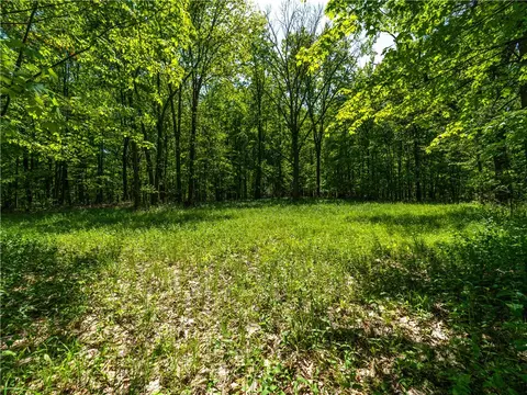 0 Hagerty Rd, Middlesex, NY 14507 photo 5