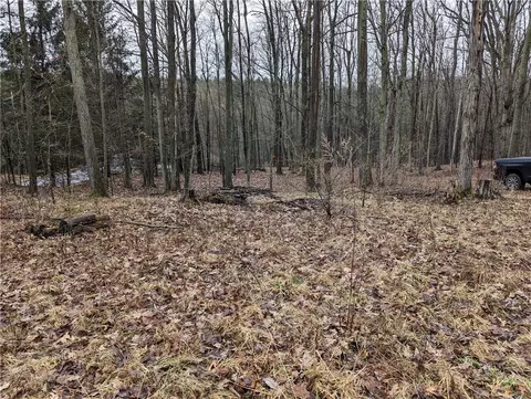 0 Hagerty Rd, Middlesex, NY 14507 photo 32