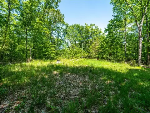 0 Hagerty Rd, Middlesex, NY 14507 photo 3