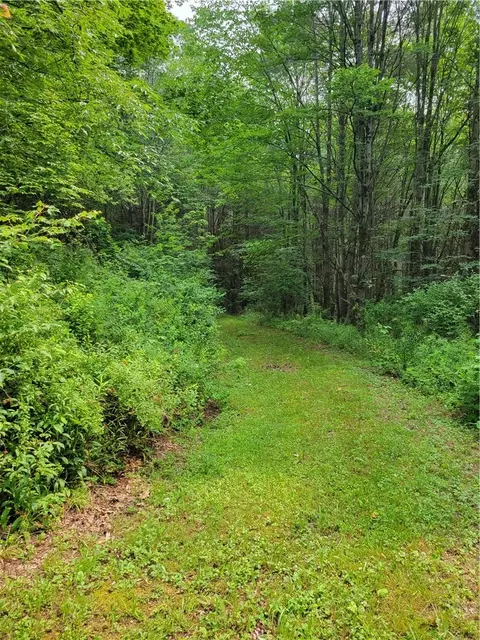 141 Freedom Ln, Maryland, NY 12116