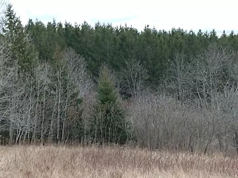 0 Slate Creek Rd, Hartsville, NY 14806