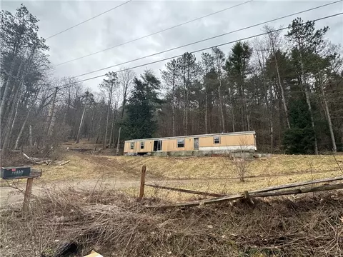 10264 Ryan Hollow Rd, Cohocton, NY 14826