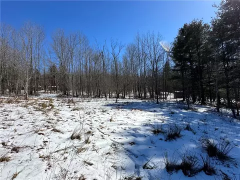 0 Maple Ln, Middletown, NY 12455 photo 11