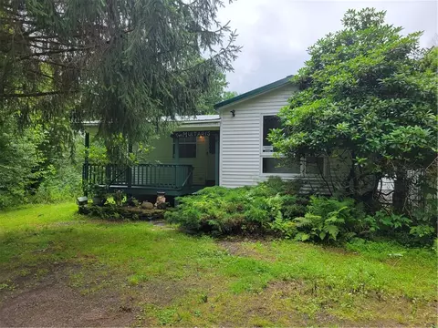 806 Bookhout Rd, Franklin, NY 13775