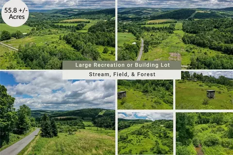 4990 Parker Hollow Rd, Sidney, NY 13838