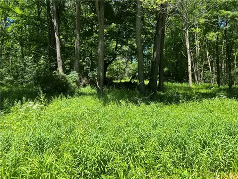 0 Wiley Town Rd, Otsego, NY 13337