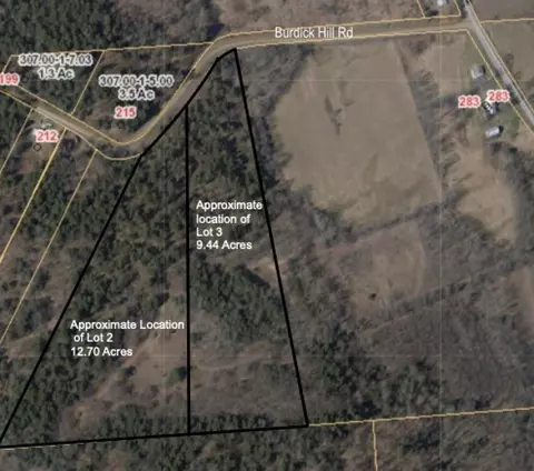 lot S 2 And 3 Burdick Hill Rd, Otego, NY 13825