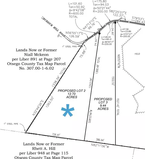 lot2 Burdick Hill Rd, Otego, NY 13825