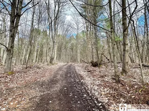 View/Area - 2854 W Windfall Rd, Olean, NY 14760 photo 4 of 4