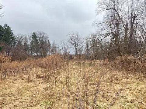0 Ridge Rd W, Clarkson, NY 14420