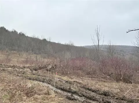 2742 County Highway 18, Pittsfield, NY 13411