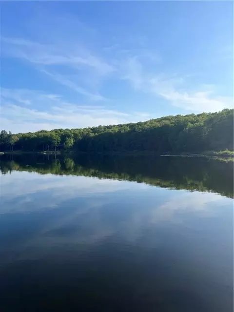 147 Blueberry Dr, Sanford, NY 13754