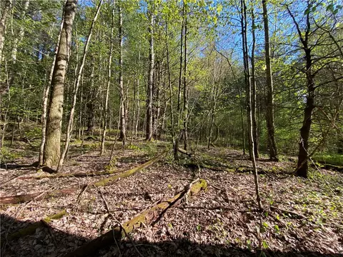 0 Middlefield Rd, Roseboom, NY 13450