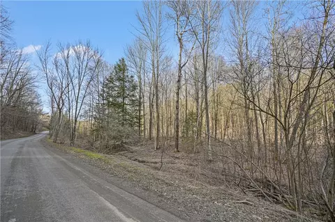 L32.06 Eggleston Hill Road, Middlefield, NY 13326