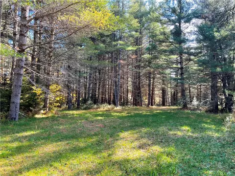 lot33 Nellis Rd, Ohio, NY 13324