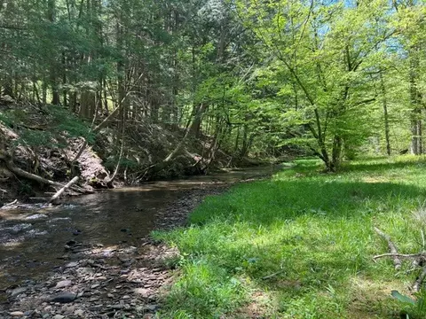 0 Clear Creek Rd, Shippen Twp, PA 15834