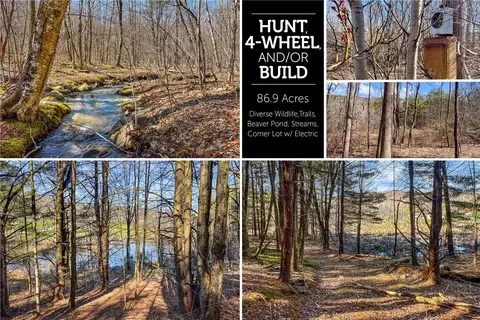 0 Pumpkin Hollow Rd, Davenport, NY 13750