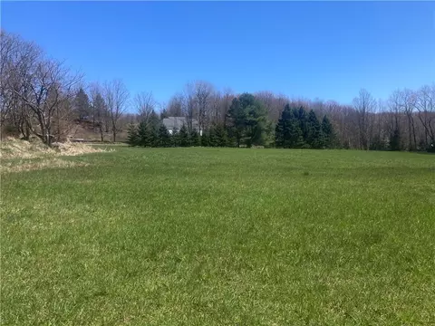 0 Dunk Hill Rd, Walton, NY 13856