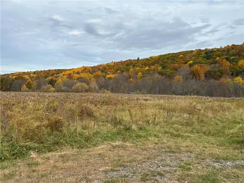 0 Conesus-springwater Rd, Conesus, NY 14435