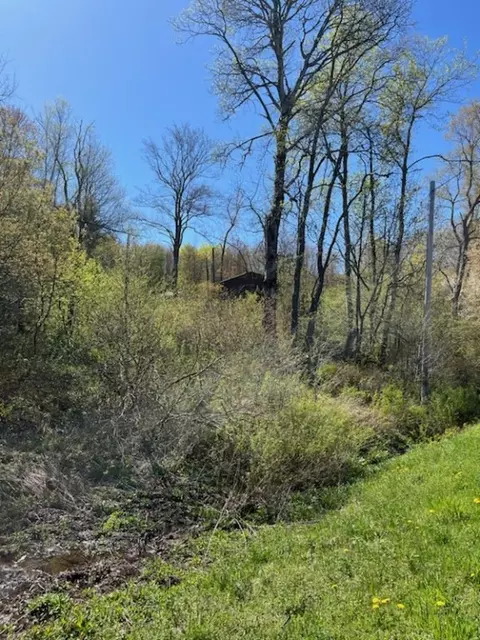 4104 E Brook Rd, Franklin, NY 13775 photo 14
