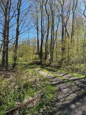 4104 E Brook Rd, Franklin, NY 13775 photo 10