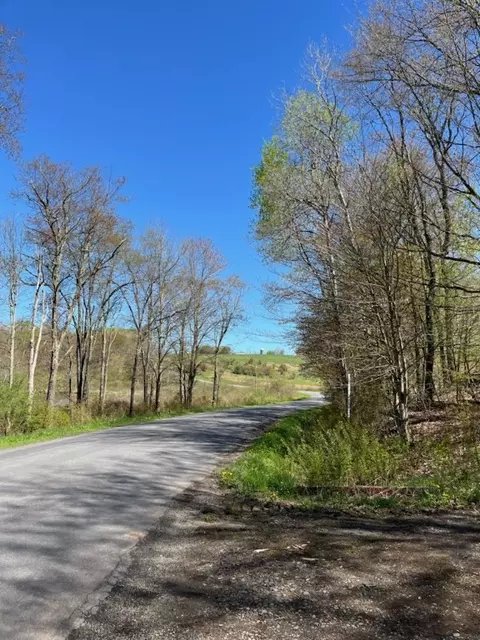 4104 E Brook Rd, Franklin, NY 13775 photo 8
