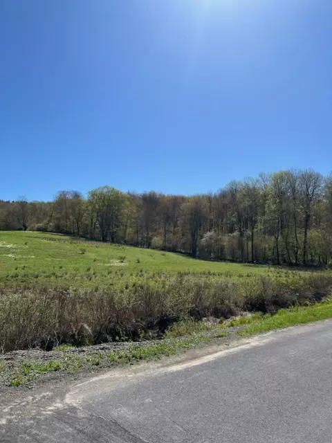 4104 E Brook Rd, Franklin, NY 13775 photo 2