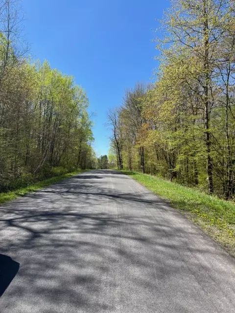 4104 E Brook Rd, Franklin, NY 13775 photo 9