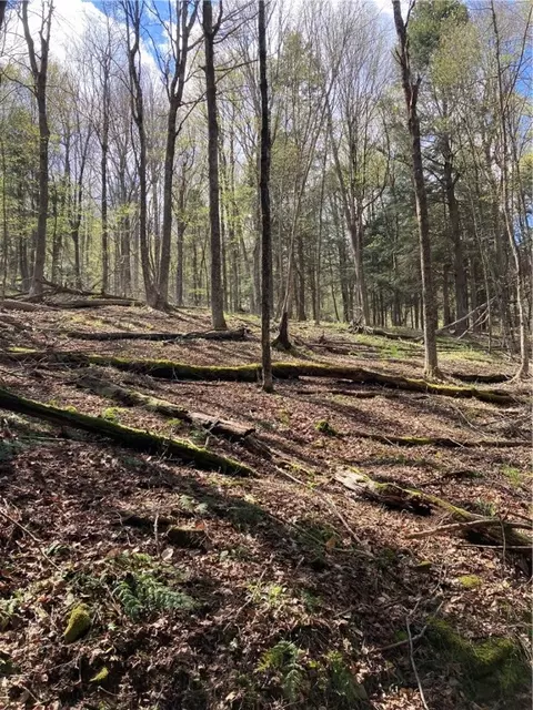 0 E Boulder Mountain Rd E, Andes, NY 13731 photo 7