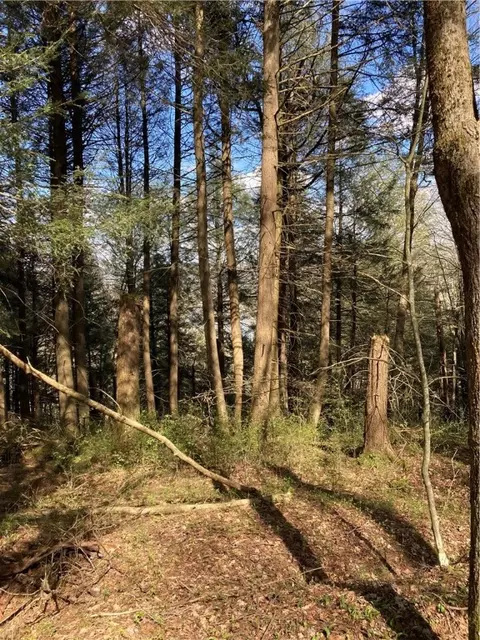 0 E Boulder Mountain Rd E, Andes, NY 13731 photo 3