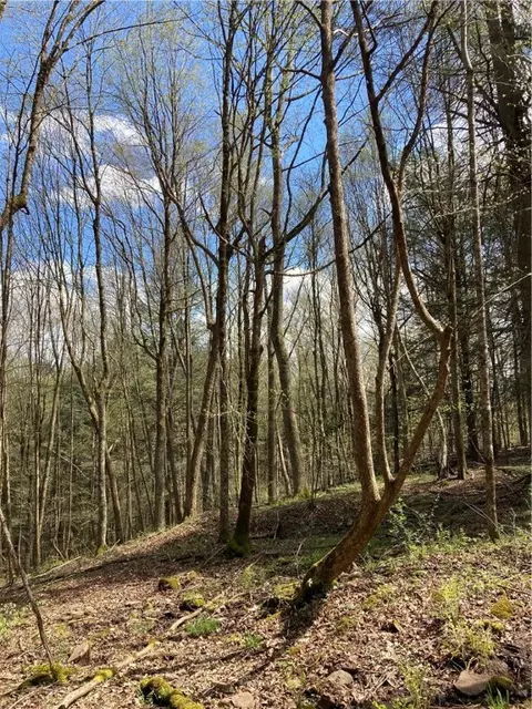 0 E Boulder Mountain Rd E, Andes, NY 13731 photo 11