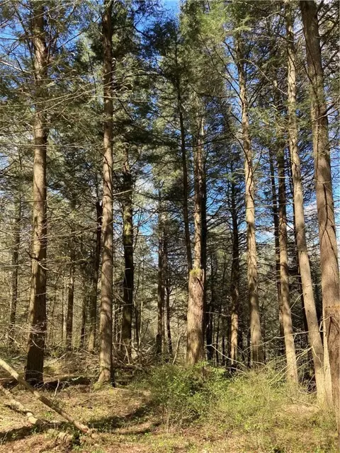 0 E Boulder Mountain Rd E, Andes, NY 13731 photo 8