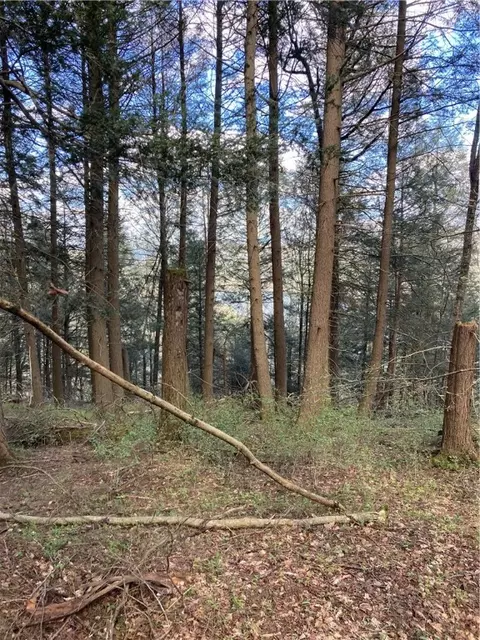 0 E Boulder Mountain Rd E, Andes, NY 13731 photo 5