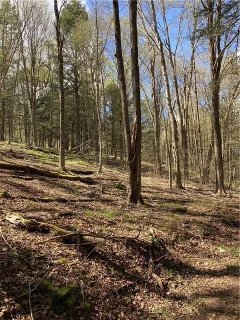 0 E Boulder Mountain Rd E, Andes, NY 13731 photo 6